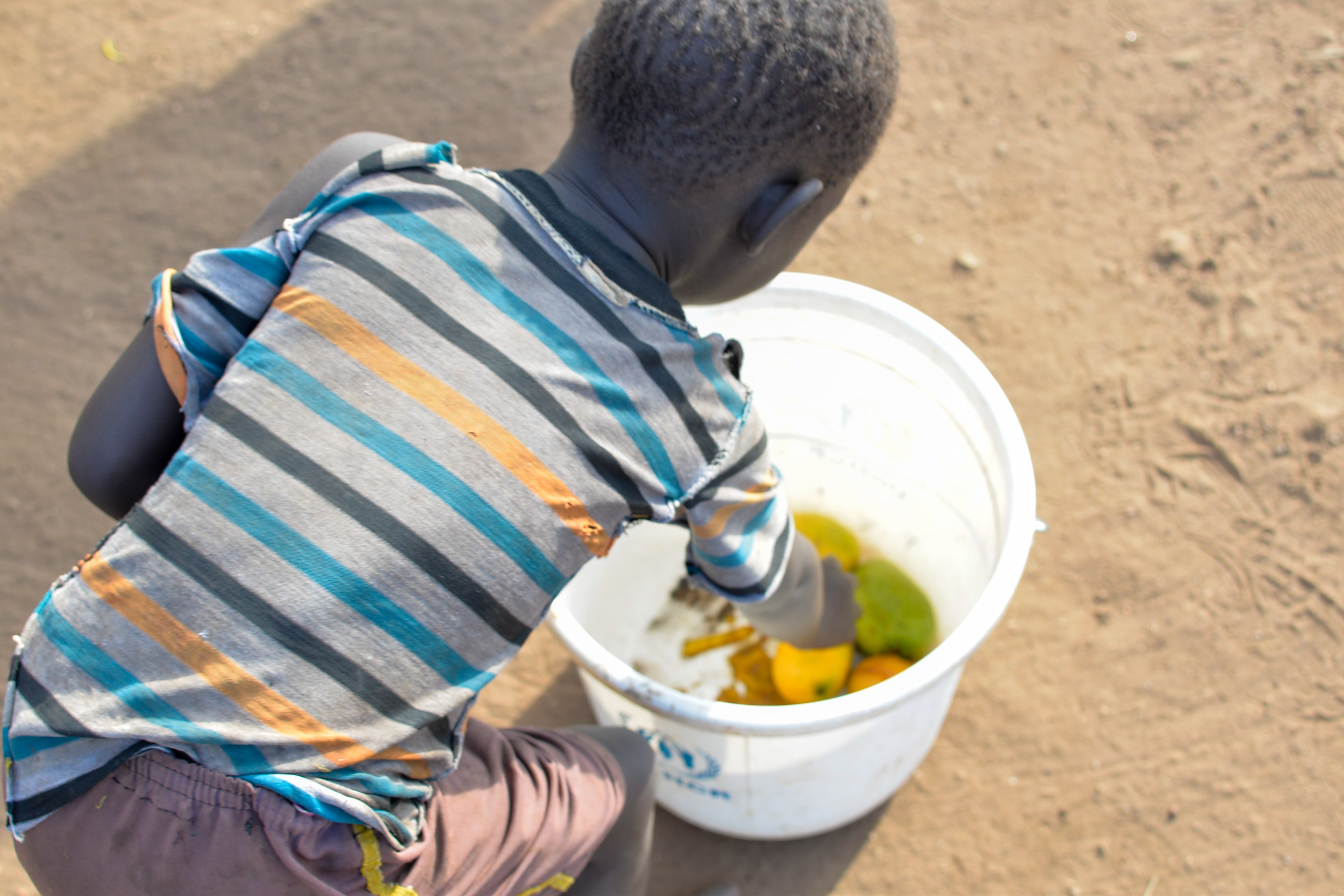 Niño coge trozos de mango de un cubo