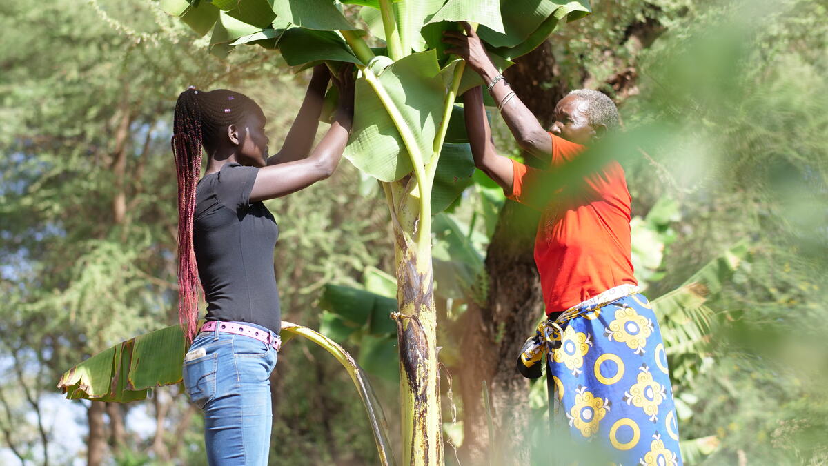 Ruth junto con otras mujeres en el campo haciendo FMNR en Kenia.