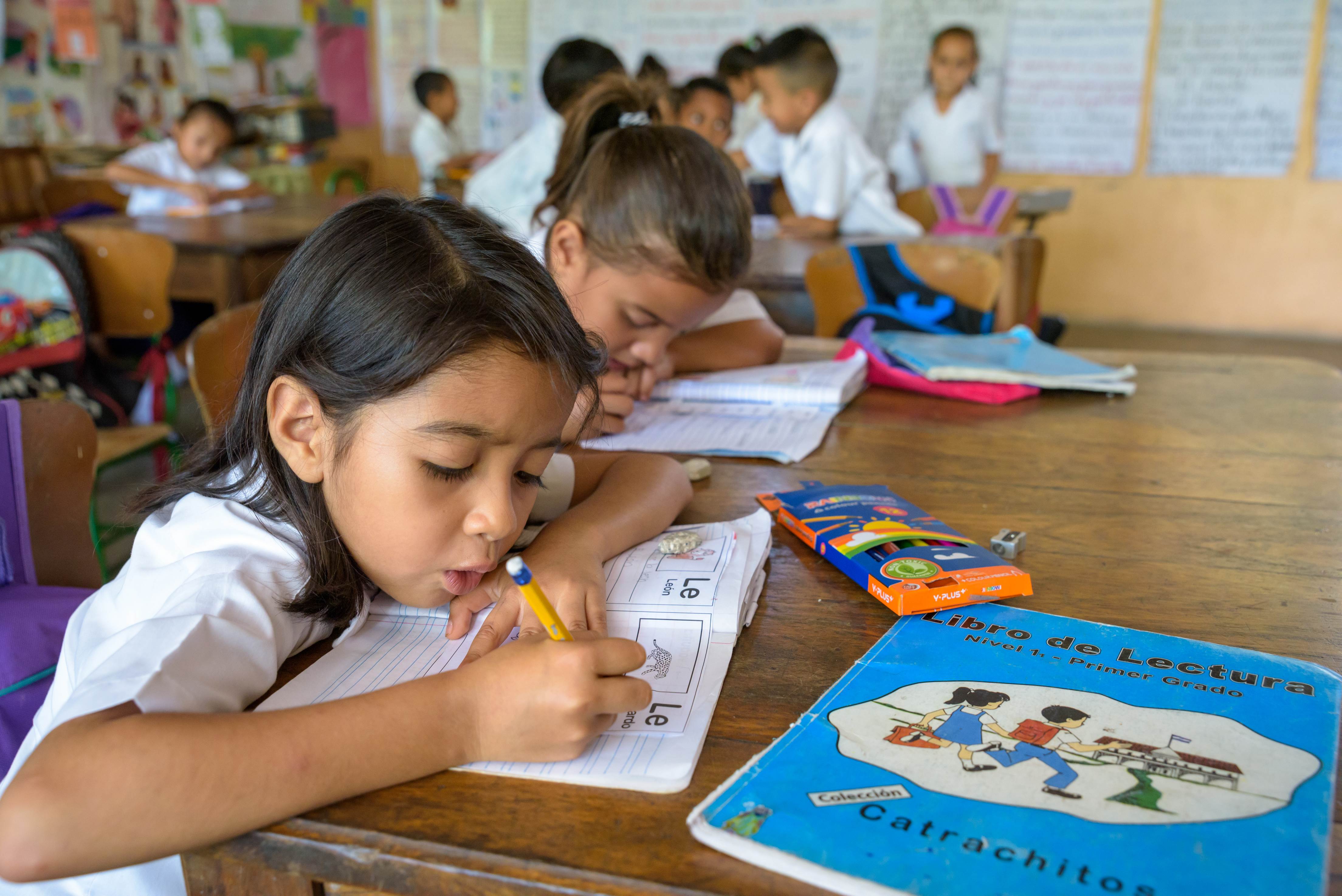 Niños en una escuela escriben en sus cuadernos de actividades de clase
