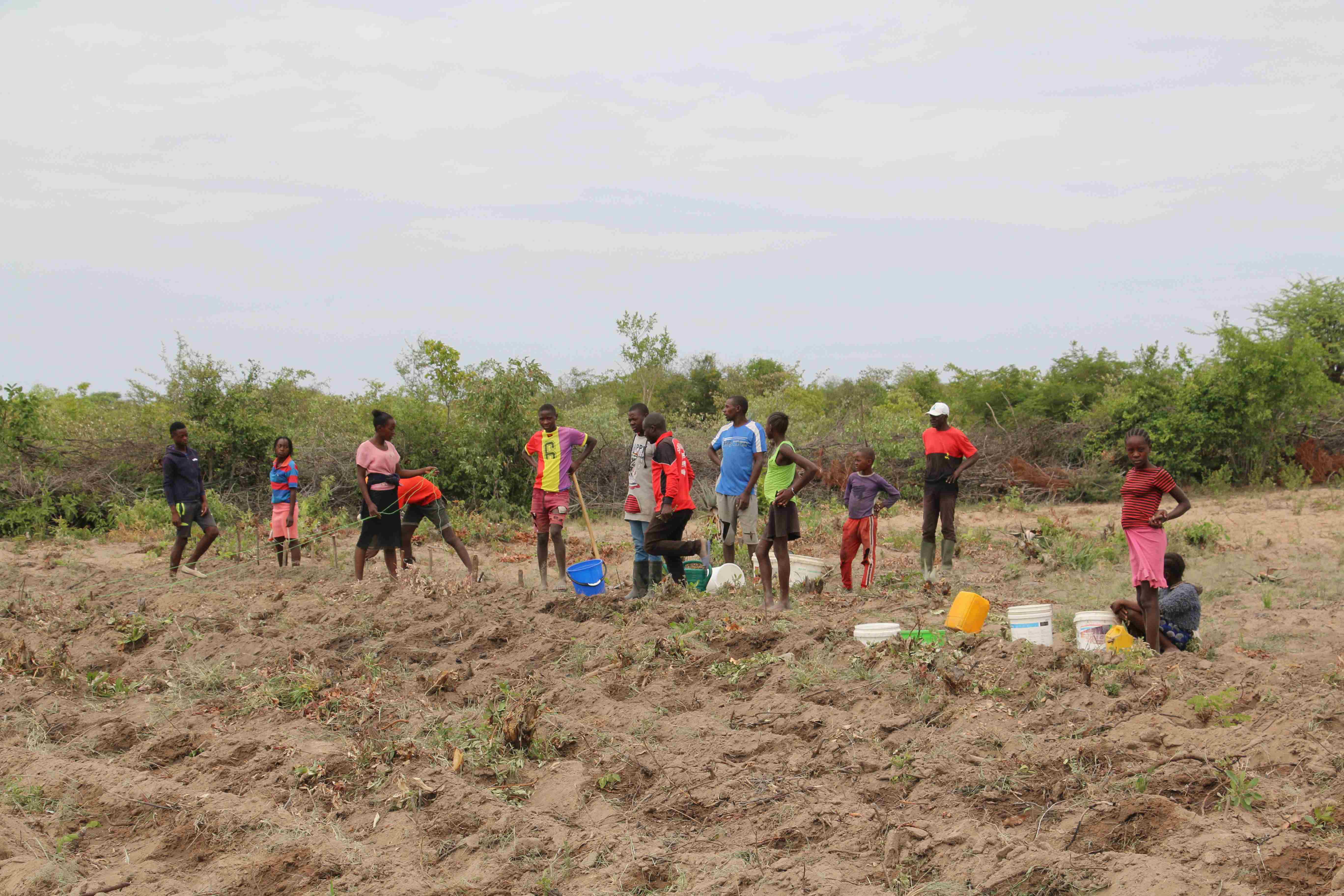 Niños de una escuela de agricultura en Angola plantando cultivos en un campo