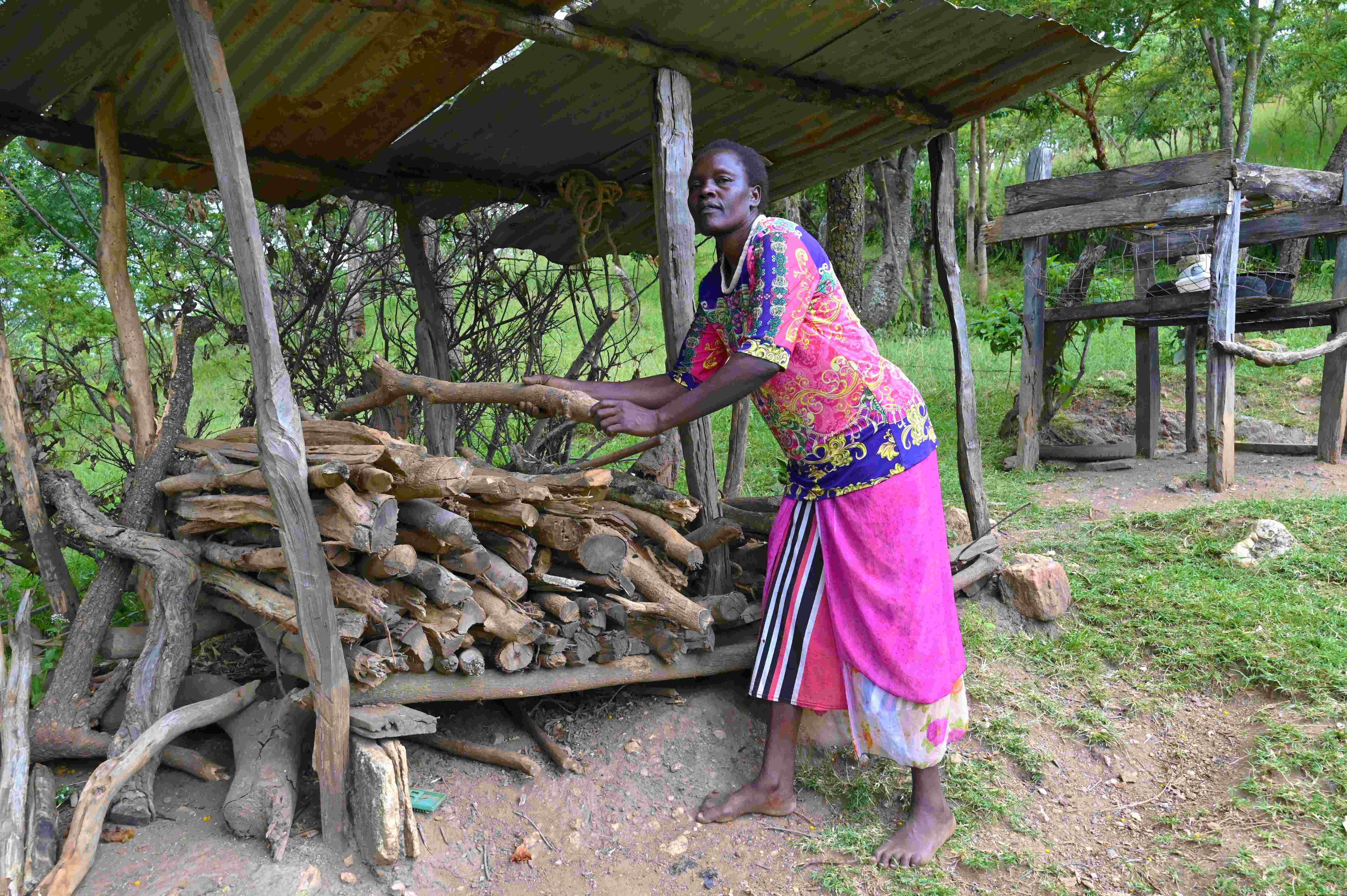 Samson's wife, Pauline, putting away firewood