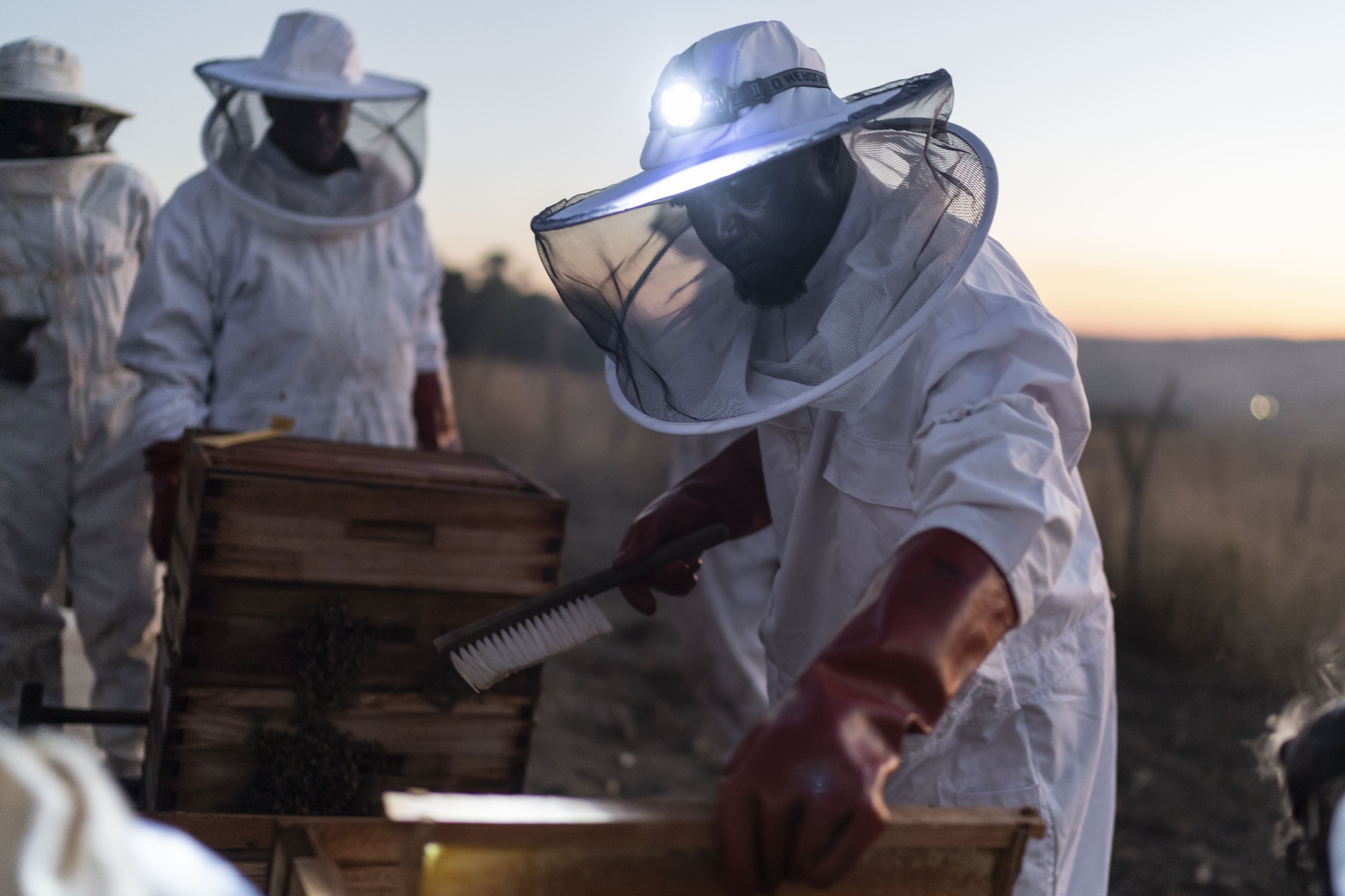 Los miembros de un grupo de apicultores en Eswatini (Swazilandia) se amontonan alrededor de una colmena, y un miembro se acerca para extraer las primeras colmenas que se proporcionaron para ayudar a diversificar los ingresos familiares.
