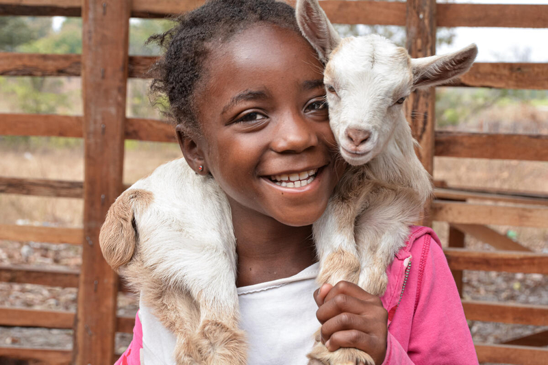 Una niña de Zimbabue con una cabra en la mano.