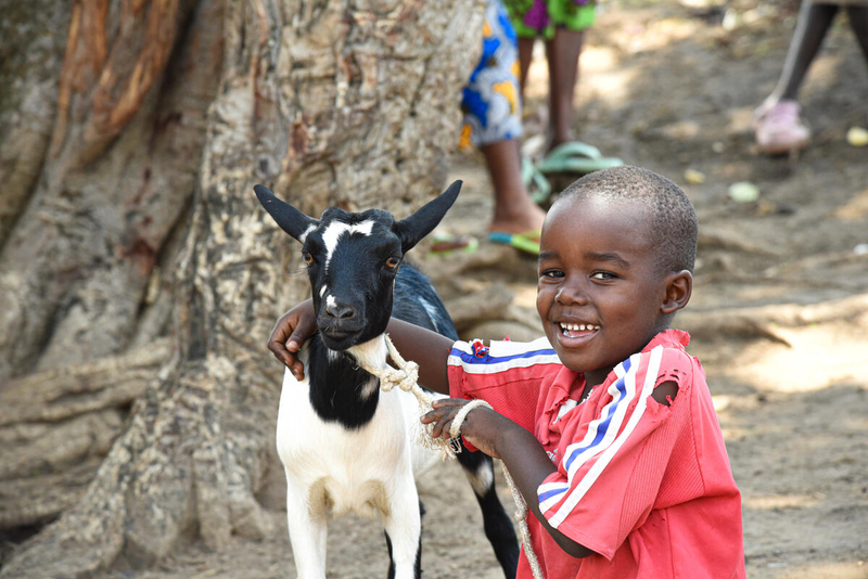 Niño vulnerable sosteniendo una cabra en sus manos