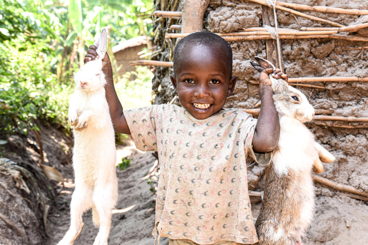 Livestock in Binza